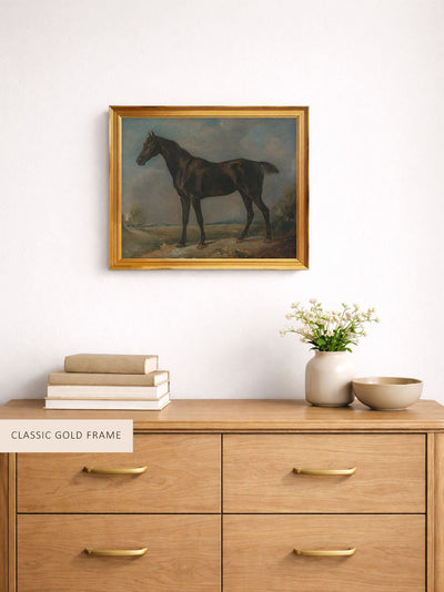 Black Riding Horse