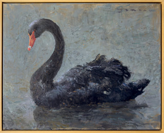 Black Swan, Drifting - 30x20 Oil on Canvas, Framed