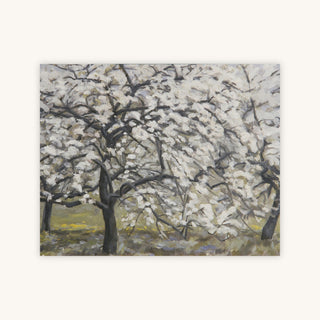 BLOOMING FRUIT TREES — Primary Image