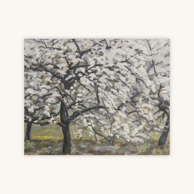 BLOOMING FRUIT TREES — Primary Image