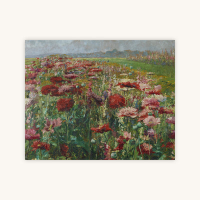 BLOOMING POPPIES — Primary Image