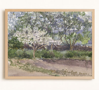 BLOOMING TREE - Museum Quality Art