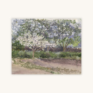 BLOOMING TREE — Primary Image