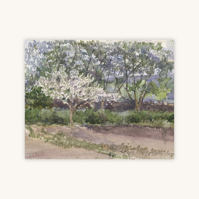 BLOOMING TREE — Primary Image