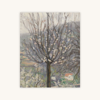 BLOSSOM, EARLY MORNING — Primary Image