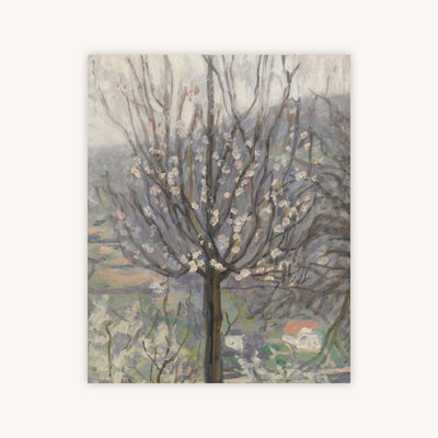 BLOSSOM, EARLY MORNING — Primary Image