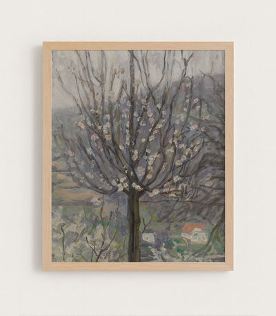 Blossom, Early Morning