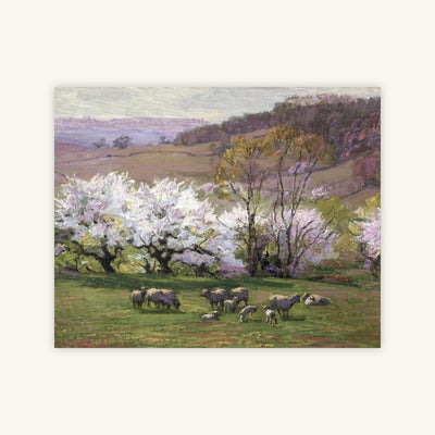 BLOSSOM TIME — Primary Image