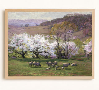 Blossom Time