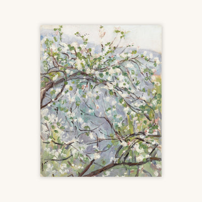 BLOSSOM — Primary Image