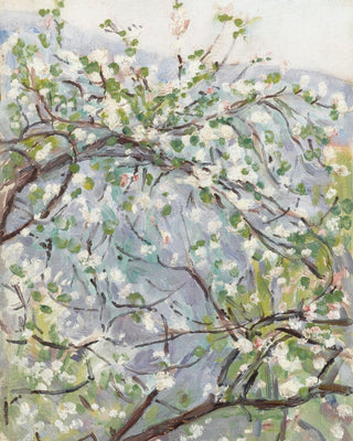 Blossom