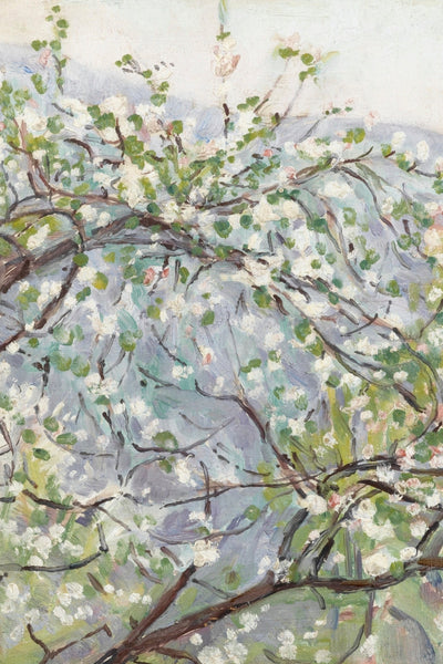 Blossom