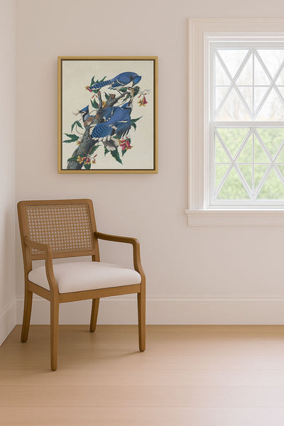 BLUE JAYS - Museum Quality Art