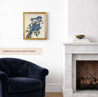 BLUE JAYS - Museum Quality Art