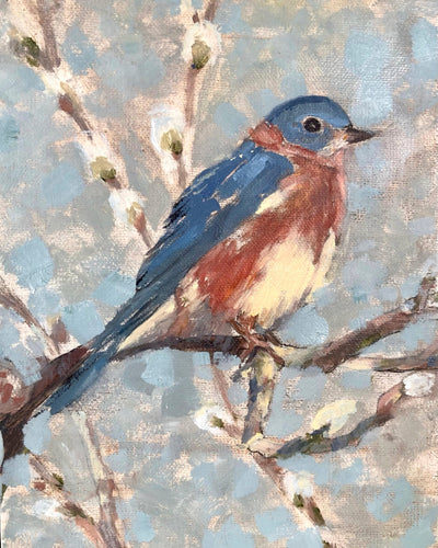 Bluebird I