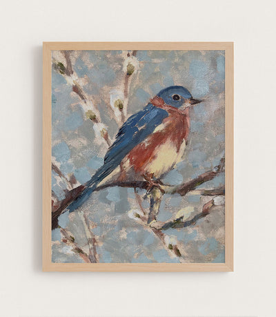 Bluebird I