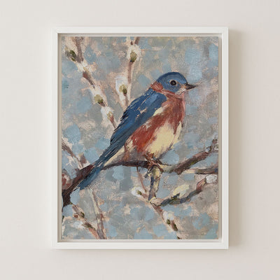 Bluebird I