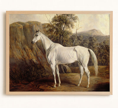 WHITE HORSE art print - Museum Quality Art