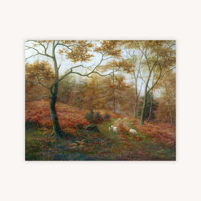 BOLTON WOODS, YORKSHIRE — Primary Image