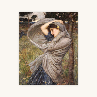 BOREAS — Primary Image