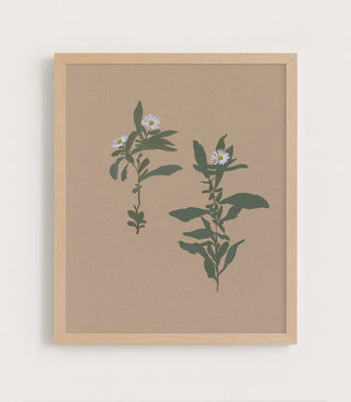 BOTANICAL - Museum Quality Art