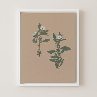 BOTANICAL - Museum Quality Art
