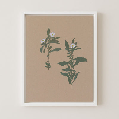 BOTANICAL - Museum Quality Art