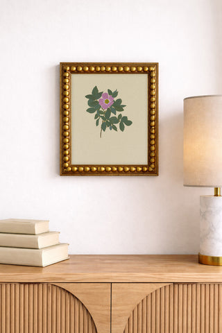 BOTANICAL XXII - Museum Quality Art