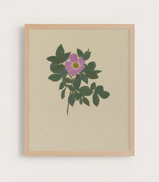 BOTANICAL XXII - Museum Quality Art