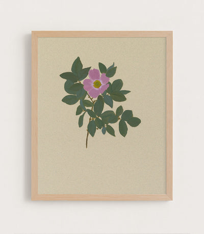 BOTANICAL XXII - Museum Quality Art
