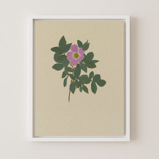 BOTANICAL XXII - Museum Quality Art