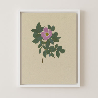 BOTANICAL XXII - Museum Quality Art