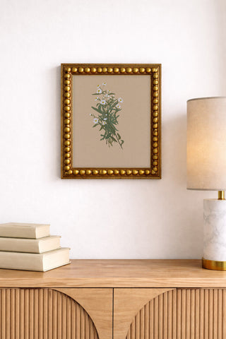 BOTANICAL XXIV - Museum Quality Art