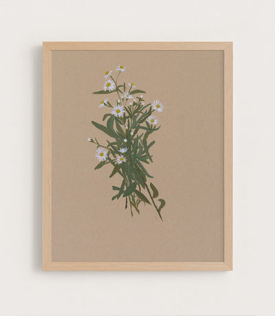BOTANICAL XXIV - Museum Quality Art