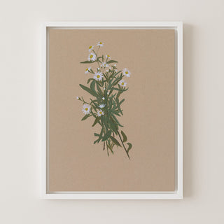 BOTANICAL XXIV - Museum Quality Art