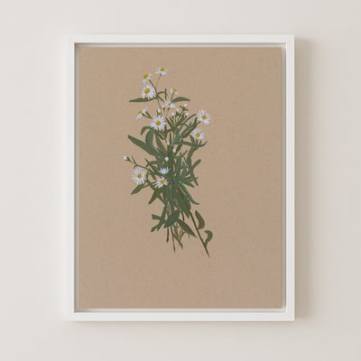 BOTANICAL XXIV - Museum Quality Art