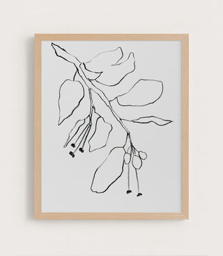 BOTANICAL PENCIL DRAWING - Museum Quality Art