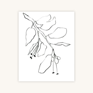 BOTANICAL PENCIL DRAWING — Primary Image
