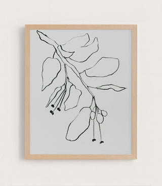 Botanical Pencil Drawing