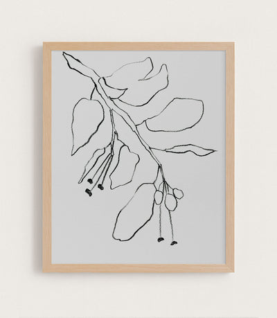 Botanical Pencil Drawing