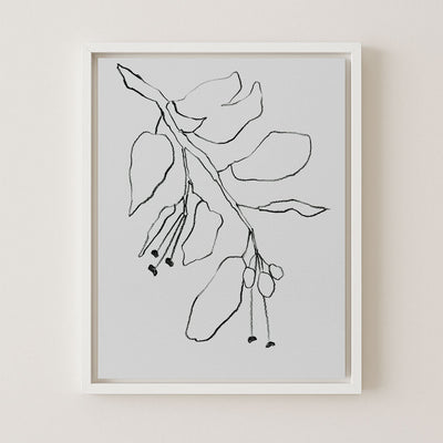 Botanical Pencil Drawing