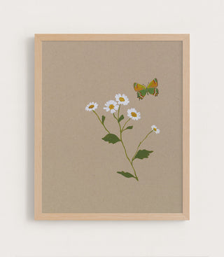 BOTANICAL WITH BUTTERFLY - Museum Quality Art