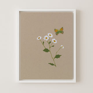 BOTANICAL WITH BUTTERFLY - Museum Quality Art