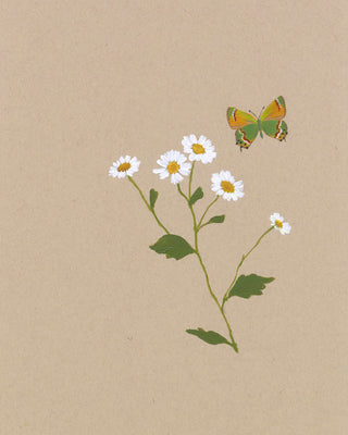 BOTANICAL WITH BUTTERFLY - Museum Quality Art