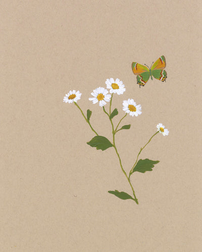 BOTANICAL WITH BUTTERFLY - Museum Quality Art
