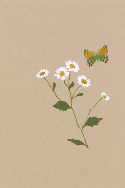BOTANICAL WITH BUTTERFLY - Museum Quality Art