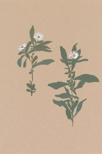 BOTANICAL - Museum Quality Art