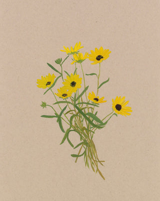 BOTANICAL XIX - Museum Quality Art