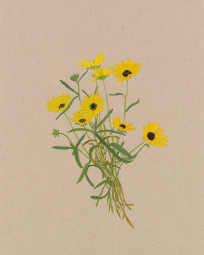 BOTANICAL XIX - Museum Quality Art