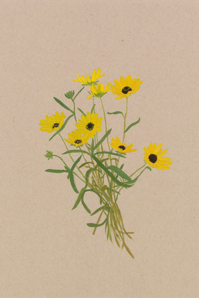 BOTANICAL XIX - Museum Quality Art